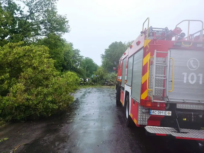 Наслідки негоди: буревій повали дерева на волинські дороги (фото)
