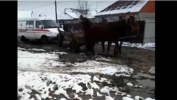 На Закарпатті коні тягнули "швидку" з пацієнтом (відео)