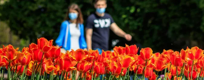 Що і коли: Кабмін оприлюднив детальний план виходу з карантину