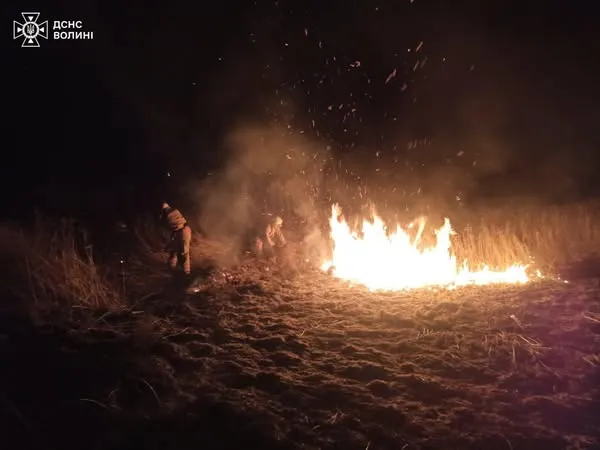 За добу на Волині вигоріло майже 6 гектарів сухої рослинності (фото)
