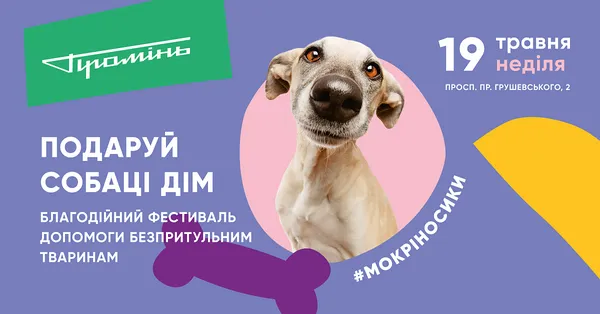 У «Промені» влаштовують фестиваль безпритульних собак*