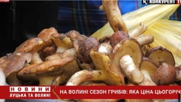 Сезон у розпалі: які ціни на гриби у Луцьку (відео)