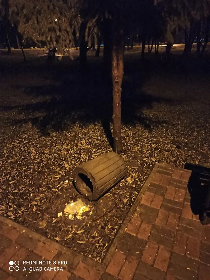 У луцькому парку поперевертали смітники (фото)