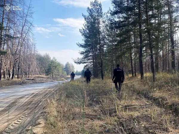 Волинські сапери розміновують поля і ліси на Сході України (фото)
