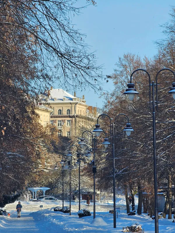 Кликуни несуть світло: показали мальовничі ранкові пейзажі Луцька (фото)
