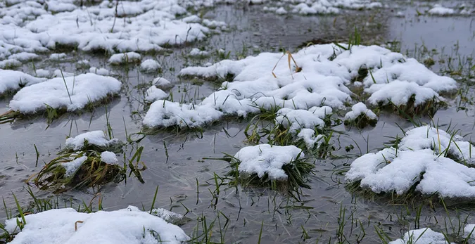 До +8 °С: на Волинь йде потепління