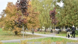 «Встановили лавки та висадили дерева»: у Луцьку завершують облаштування скверу (фото, відео)