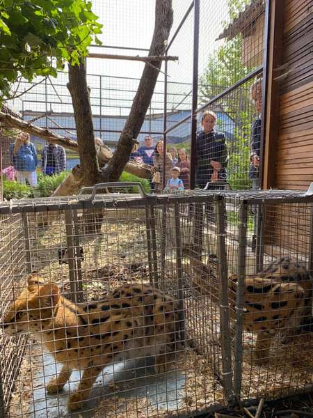 У Луцькому зоопарку — нові мешканці