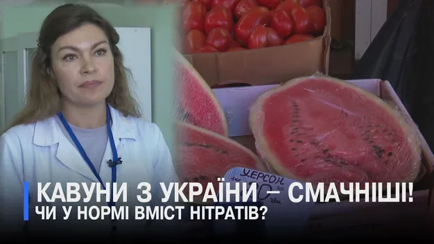 Чи нітратні кавуни з луцького ринку – перевірили в лабораторії (відео)