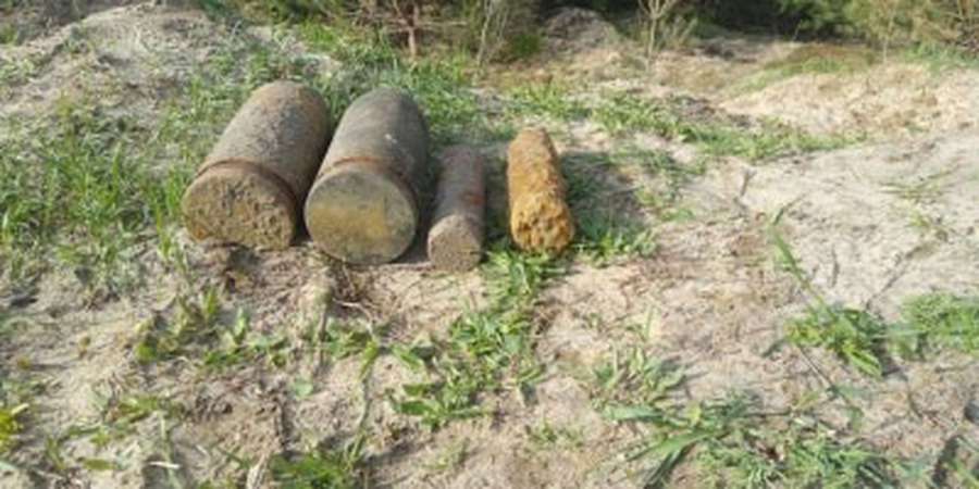 На Волині знешкодили мінометну міну, гранату та 11 артснарядів (фото)