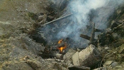 У Луцьку горіли дерева та будівельне сміття (фото)