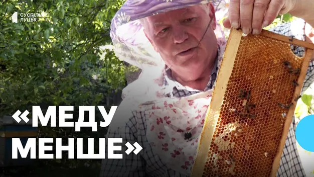 На пасіках Волині – мало меду: що там коїться (відео)