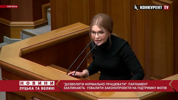 Спрощення роботи ФОПів: парламент закликають ухвалити законопроєкти №5866 і 5866-1 (відео)