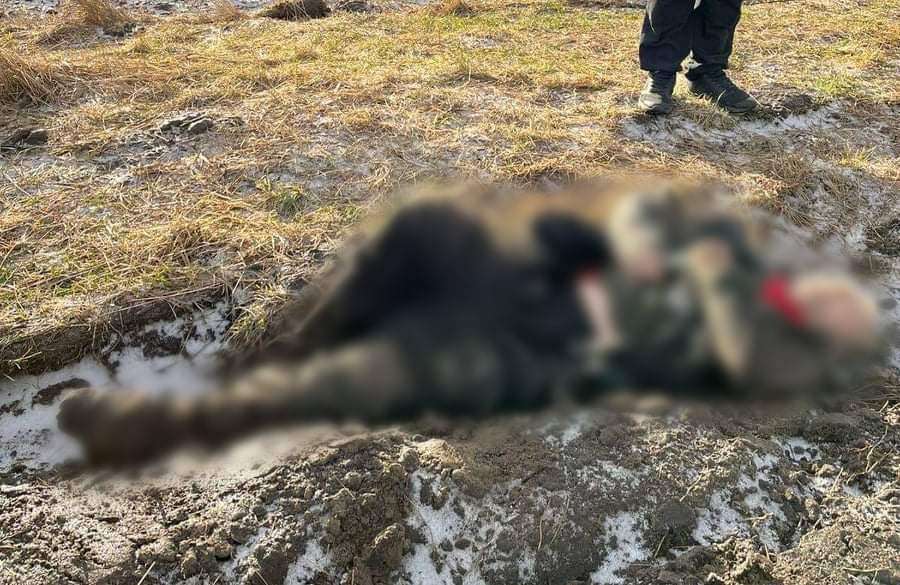 У Нововолинську біля монастиря виявили тіло чоловіка (фото, відео 18+)