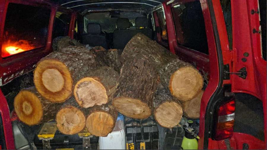Лучанин хотів вкрасти дрова зі «Срібних лелек» (фото)