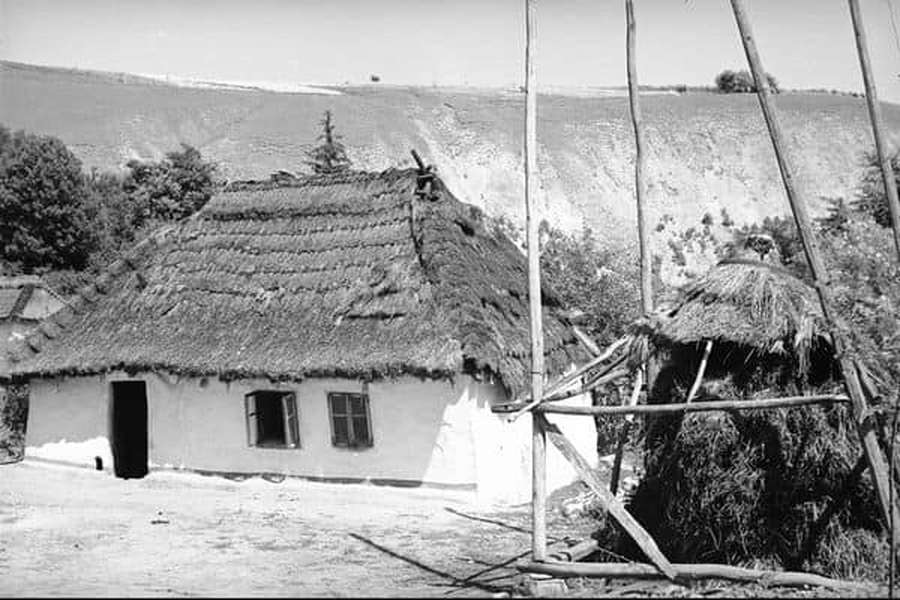 Колоритні фото: як майже 100 років тому жили на Франківщині (фото)