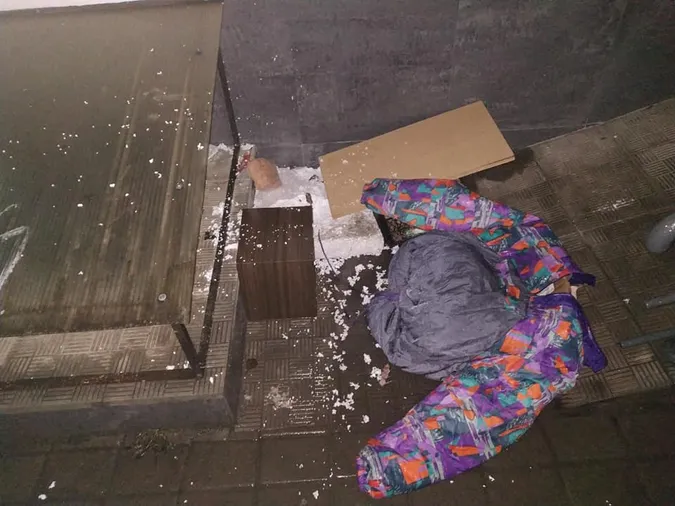 Будинок луцького котика зруйнували у новорічну ніч. Йому шукають новий дім (фото)