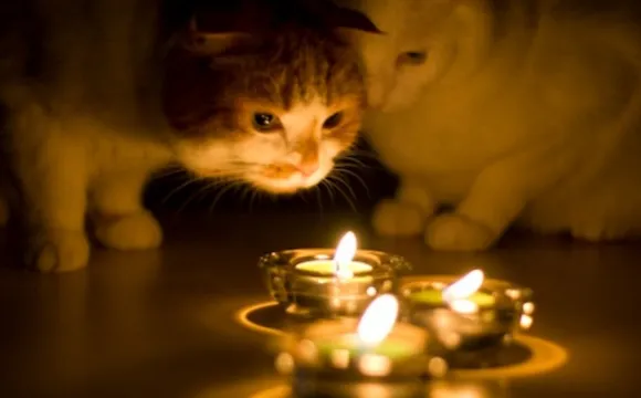 Де у Луцьку не буде світла у вівторок, 24 листопада