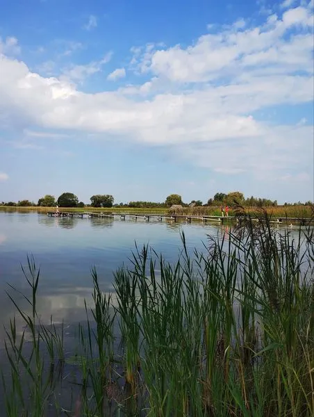 Зручні пірси і мало людей: на Волині в озері у формі вуха водиться багато риби (фото)