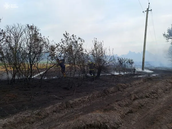 На Камінь-Каширщині зайнялось торфовище: на місці працюють рятувальники (фото)