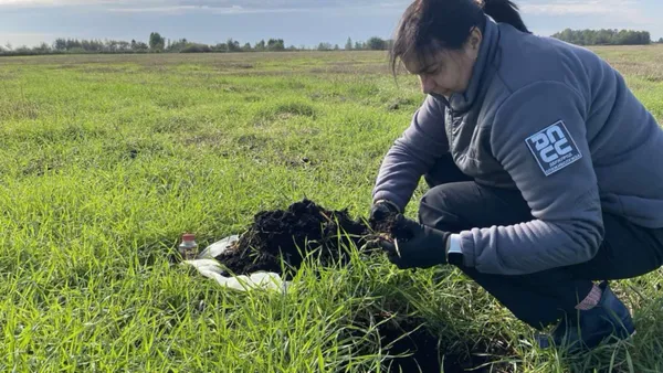 Осінній «чекап» полів: у ґрунтах Волині знайшли цілі колонії шкідників (фото)