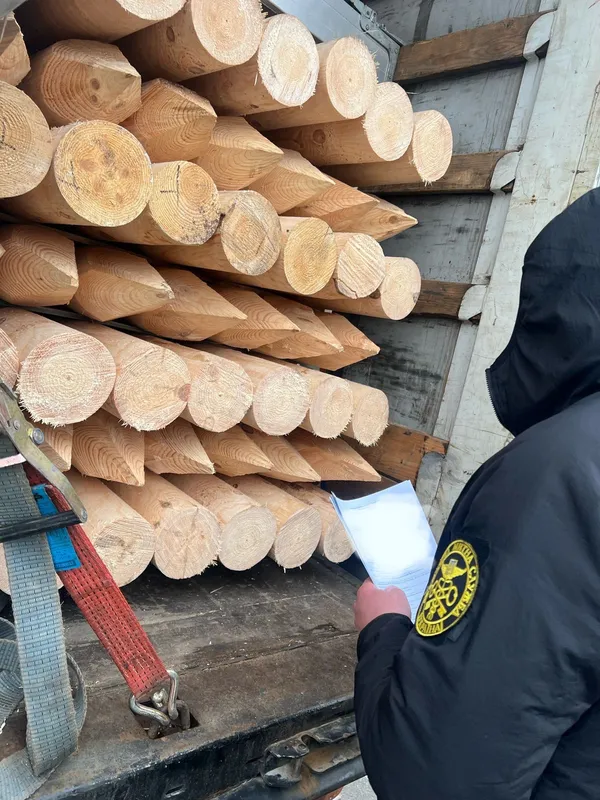 Занадто товсті: через «Ягодин» до ЄС не пропустили партію соснових кілків