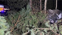 На Волині легковик злетів у кювет і застряг між деревами (фото)