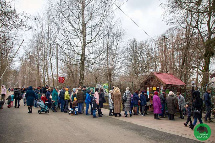 За 8 березня луцький звіринець відвідали понад 4 тисячі жінок (ФОТО)