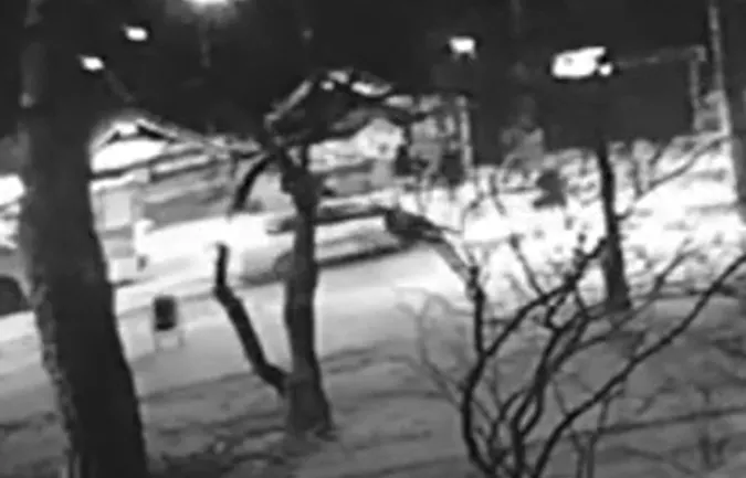 Збив та втік: у Луцьку шукають водія автомобіля, який наїхав на 67-річну жінку (відео)
