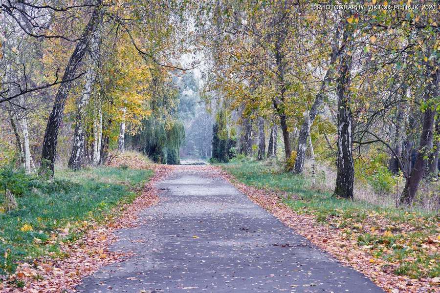 Жовтогаряча осінь у луцькому парку (фото)