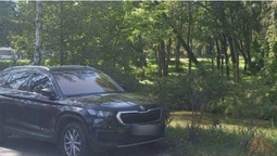 У Луцьку муніципали покарали водія, який припаркувався на газоні у парку (фото)