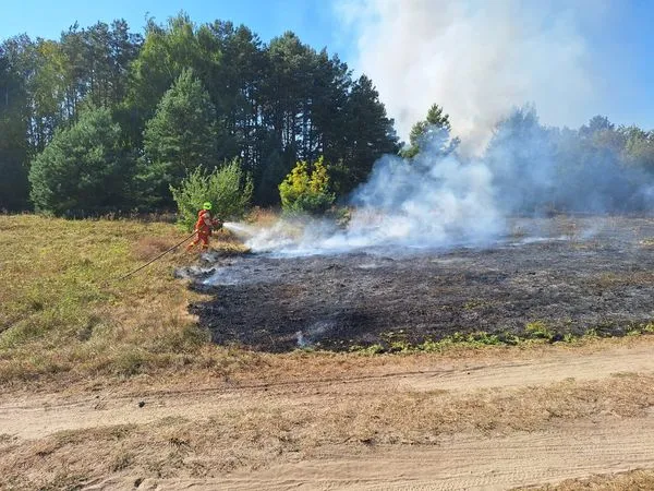 Горіли суха трава, чагарники та ліс: на Волині за добу загасили 19 пожеж в екосистемах (фото)