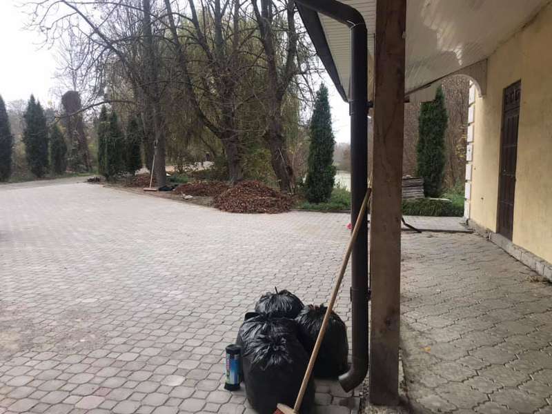 До молодіжного центру Луцька проклали стежку з дерева (фото)