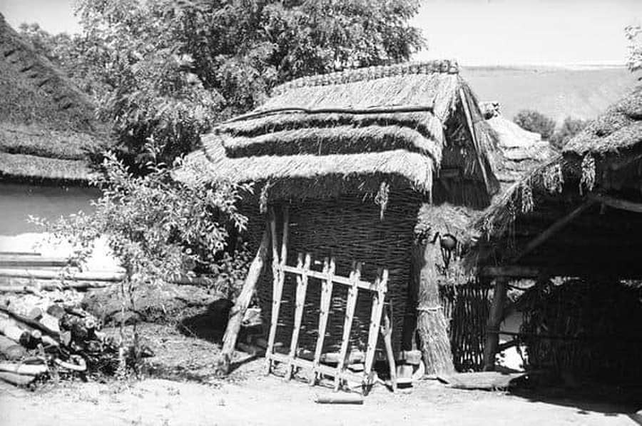 Колоритні фото: як майже 100 років тому жили на Франківщині (фото)