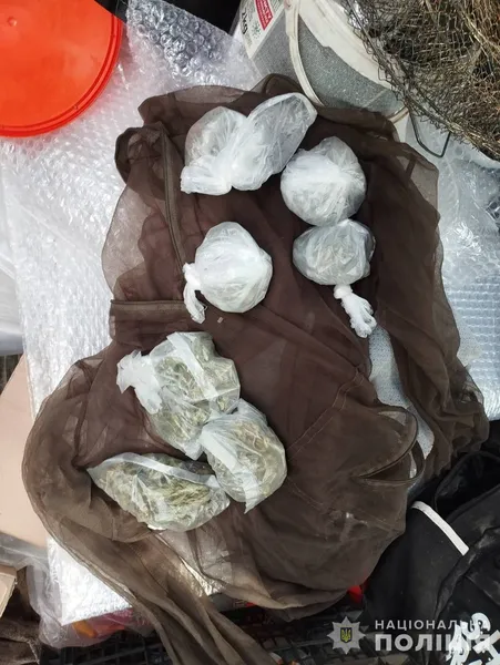 На Волині викрили «конопельного барона»: заробляв по 100 тисяч на місяць (фото, відео)