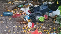 «Місто, яке ми заслужили»: лучанка скаржиться на купу сміття (фото)