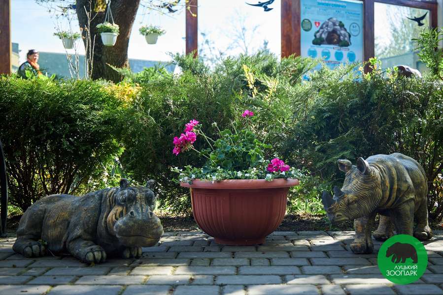 «Погода волає про візит»: Луцький зоопарк заманює до себе відвідувачів (фото)