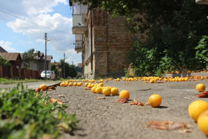 Спека у Луцьку. 20+ ідеально літніх фото