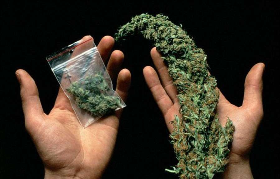 Купить закладку травы как быстро выгнать из организма наркотики
