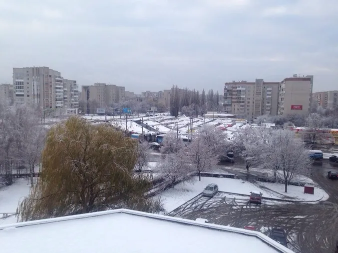 36 тонн солі і 29 одиниць техніки: як в Луцьку борються зі снігом 