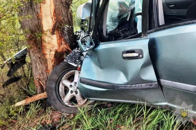 Заснув за кермом: у Луцьку авто влетіло у дерево (фото)