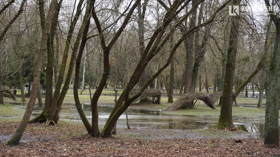 Мокрий луцький парк, або Як алеї тонуть у воді (фото)