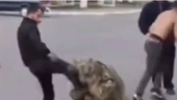 У Луцькому районі невідомі побили військовослужбовця (відео)