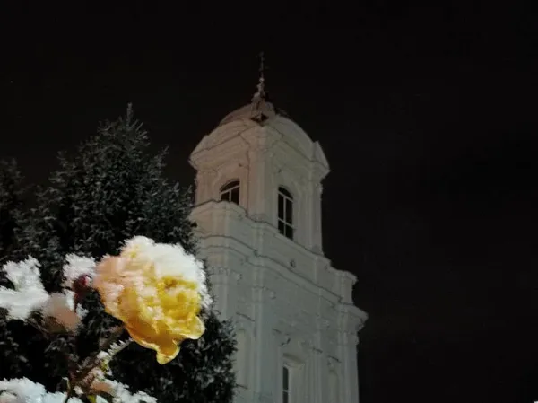 Зима близько: у Луцьку випав перший сніг (фото)