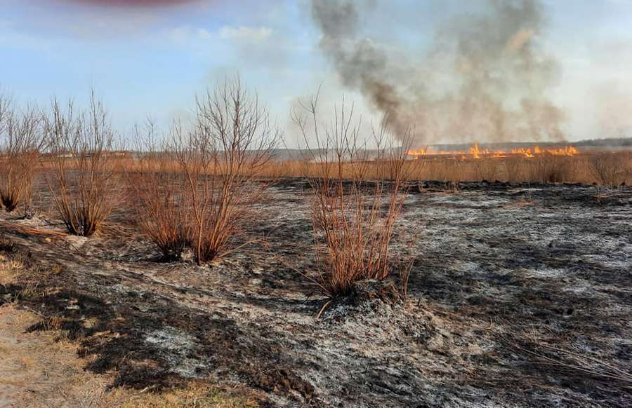 На Турійщині підпалили суху рослинність