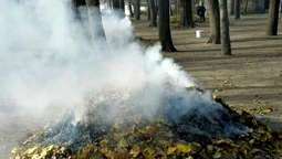 Припиніть палити суху траву та листя! (фото)