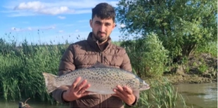 Майже не вивчений вид: у Дунаї виловили рідкісного червонокнижного лосося (фото)