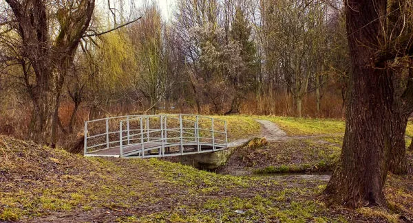 Парк 900-річчя Луцька став проблемним, – прокуратура (відео)