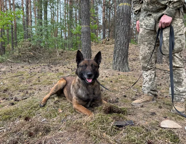Служба з чотирилапими напарниками: як прикордонник із Волині здійснив дитячу мрію (фото)
