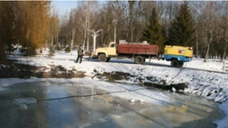 У центральному парку Луцька рятують рибу (фото)